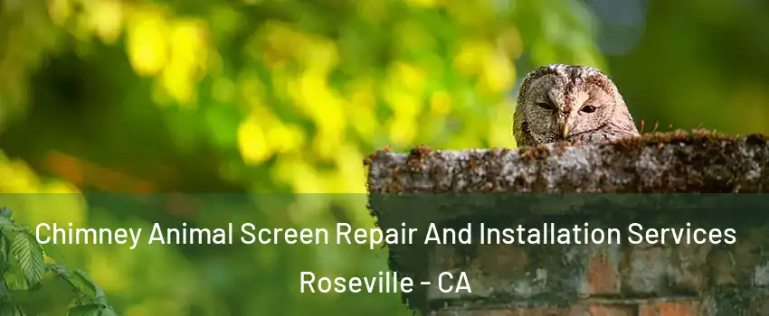 Chimney Animal Screen Repair And Installation Services Roseville - CA