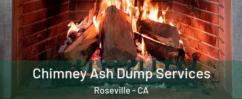  Chimney Ash Dump Services Roseville - CA