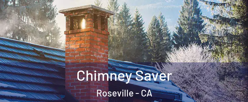  Chimney Saver Roseville - CA