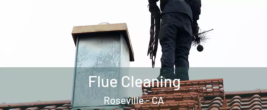  Flue Cleaning Roseville - CA