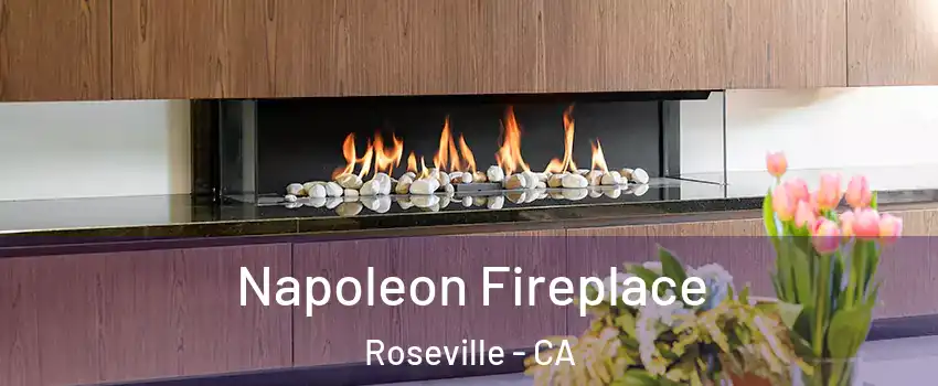  Napoleon Fireplace Roseville - CA